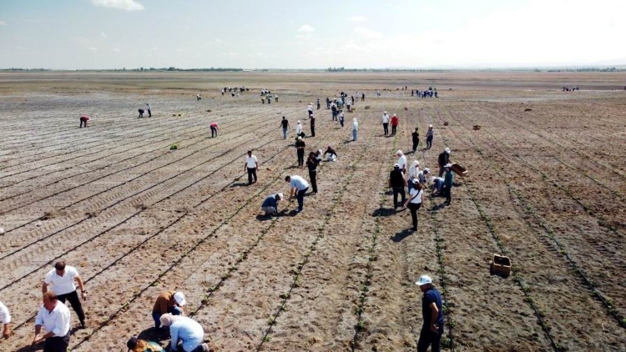 Ereğli’de Organik Tarımda İlk Adım Atıldı