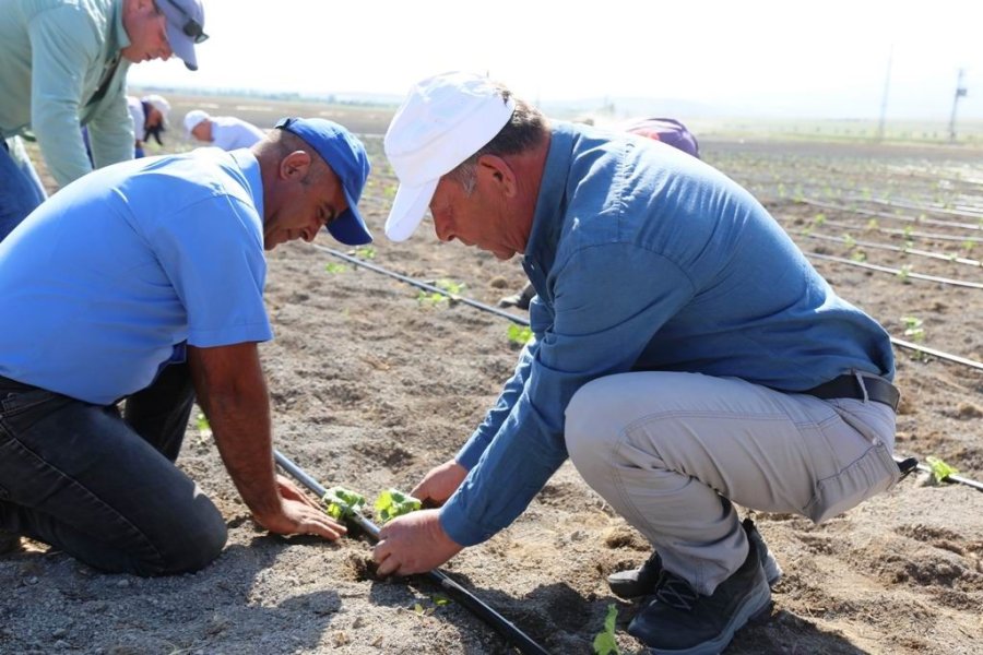 Ereğli’de Organik Tarımda İlk Adım Atıldı