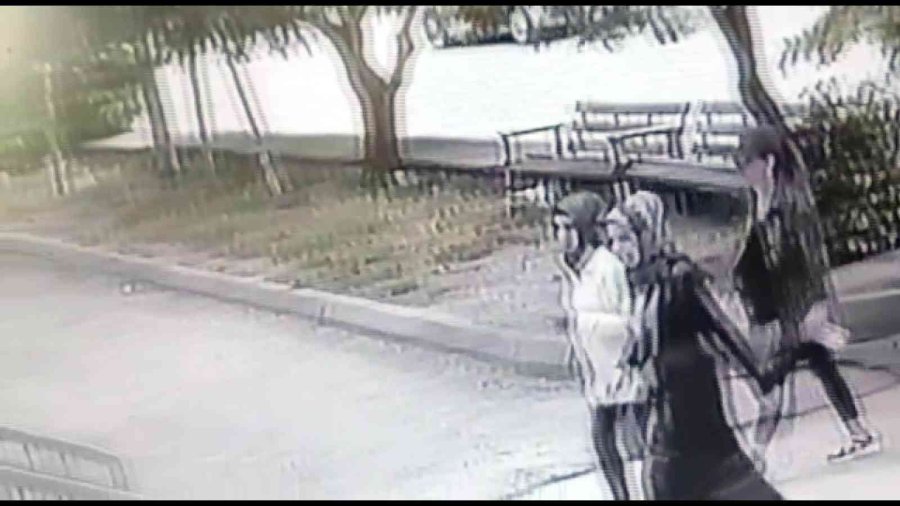 Ev Fareleri Önce Kameraya Sonra Polise Yakalandı