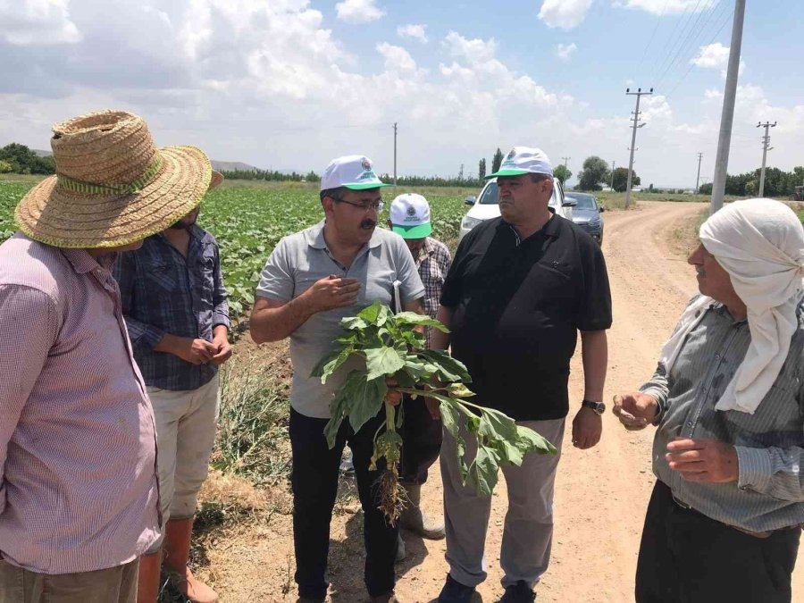 Aksaray’ın Tarım Arazilerinde İnceleme