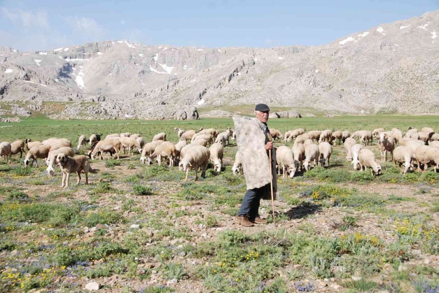 Antalya’da Yörüklerin Karla Kaplı Yayla Serüveni Başladı