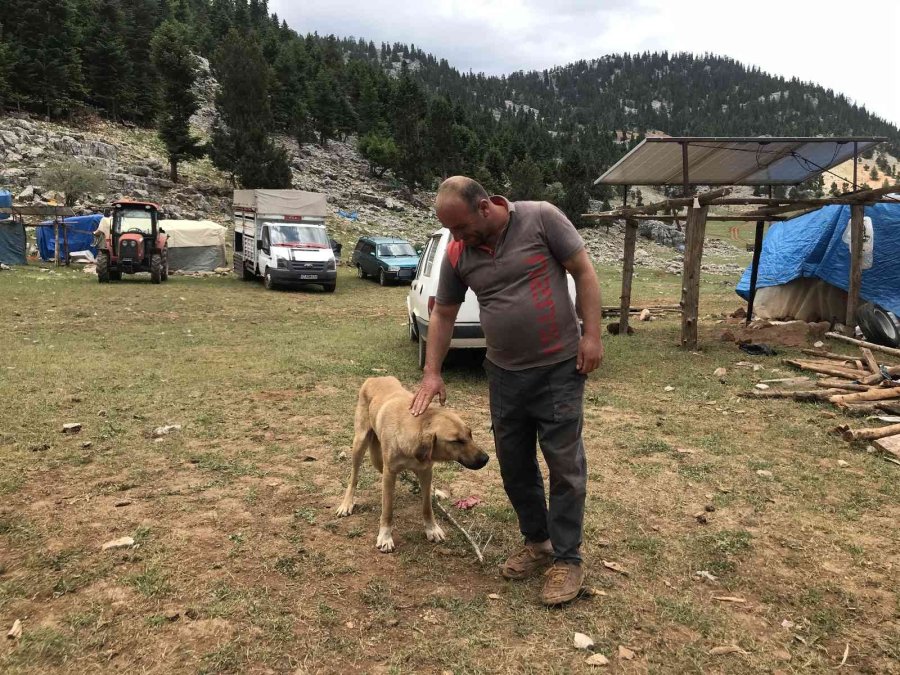 Antalya’da Yörüklerin Karla Kaplı Yayla Serüveni Başladı