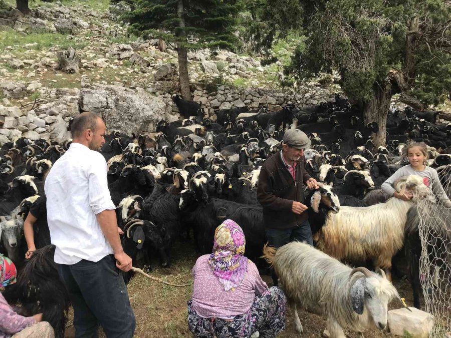 Antalya’da Yörüklerin Karla Kaplı Yayla Serüveni Başladı