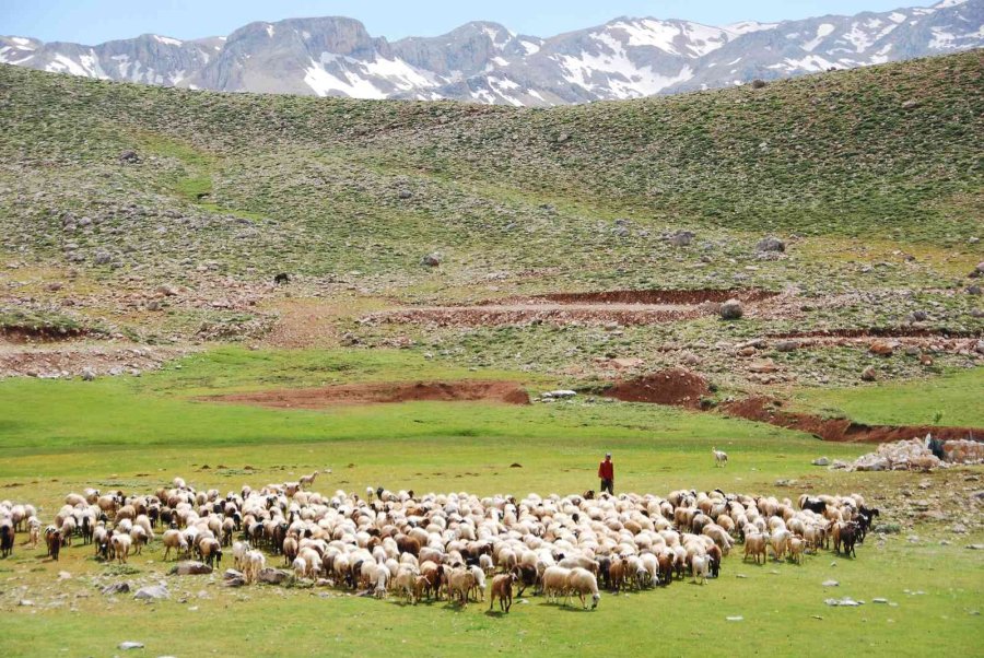 Antalya’da Yörüklerin Karla Kaplı Yayla Serüveni Başladı