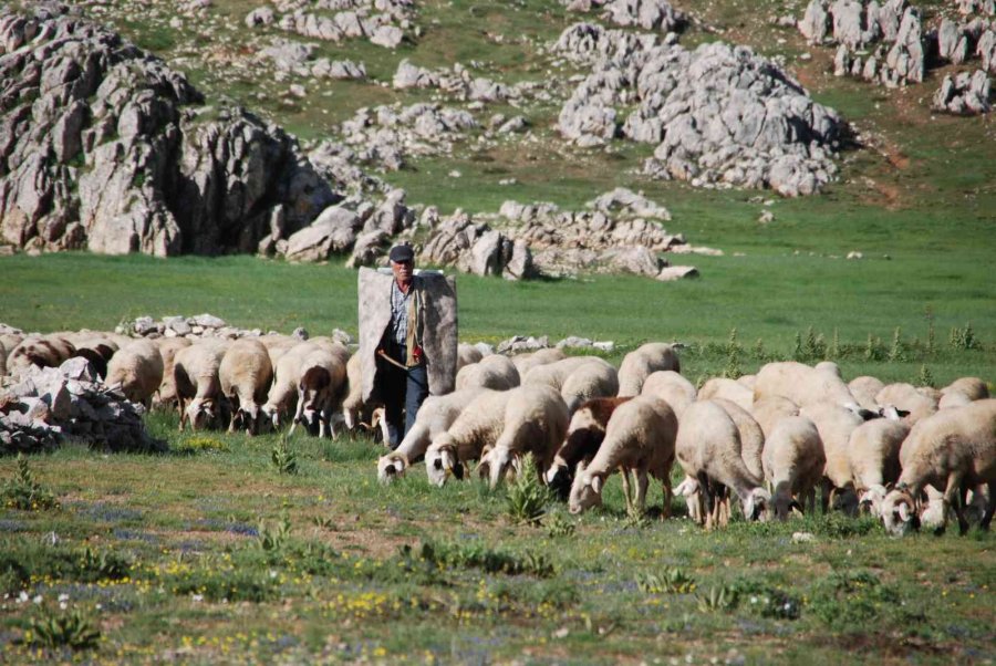 Antalya’da Yörüklerin Karla Kaplı Yayla Serüveni Başladı