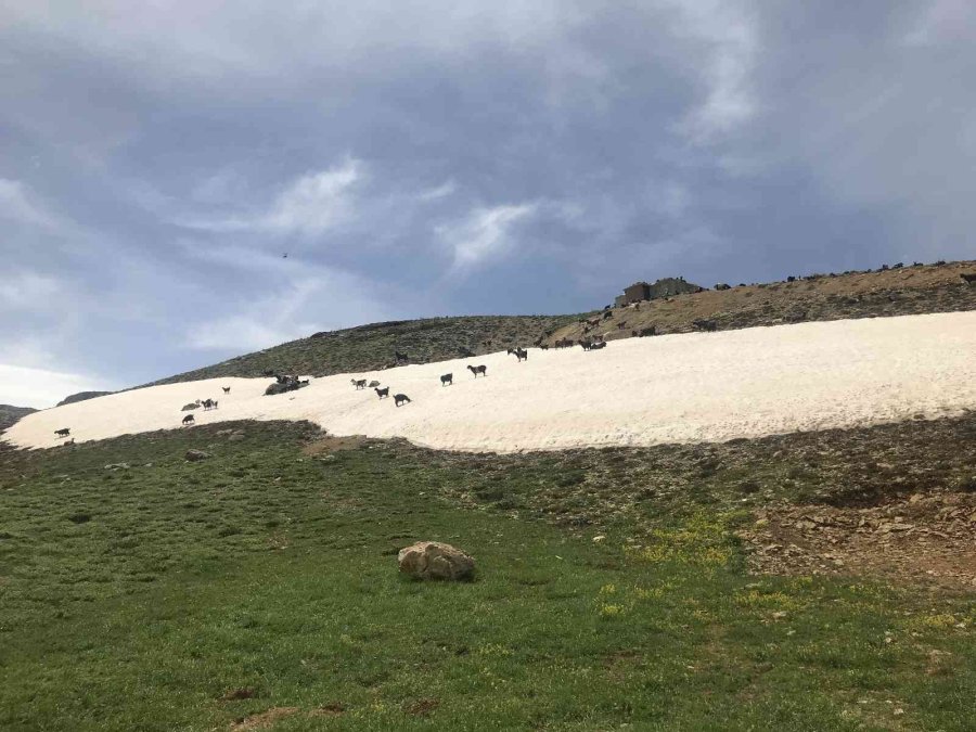 Antalya’da Yörüklerin Karla Kaplı Yayla Serüveni Başladı