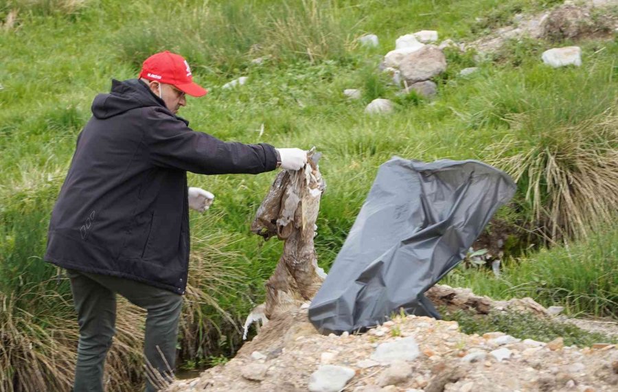 Doğaseverler Erciyes’te Çevre Temizliği Yapacak