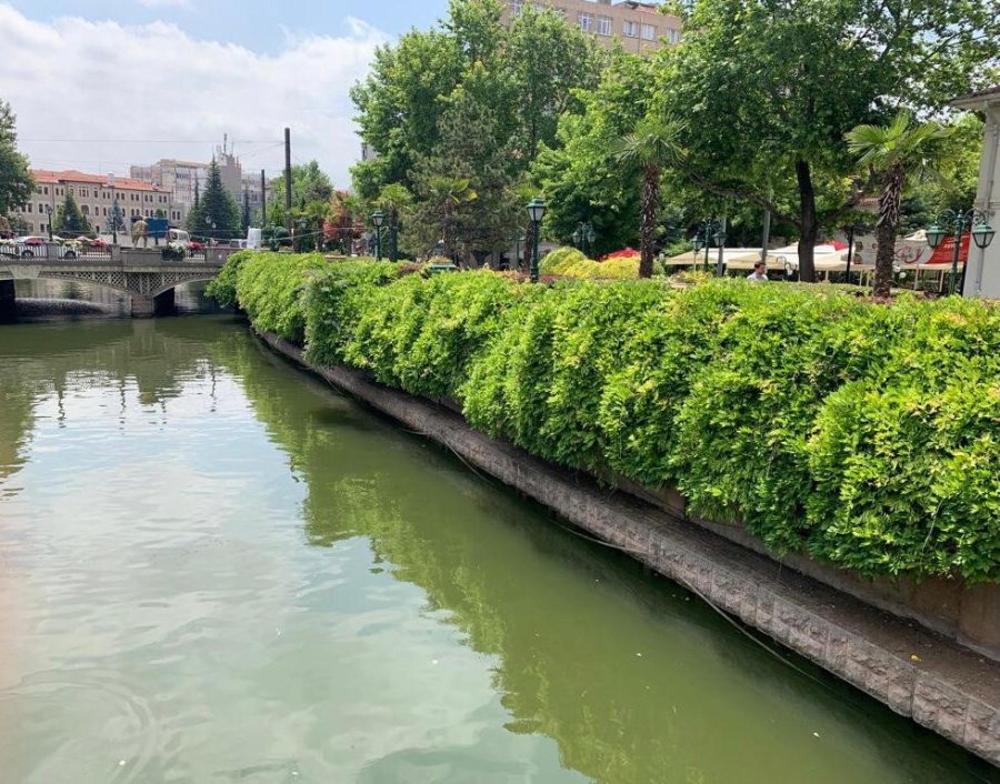 Porsuk Çayı Kenarları Yeşil Örtüyle Kaplandı