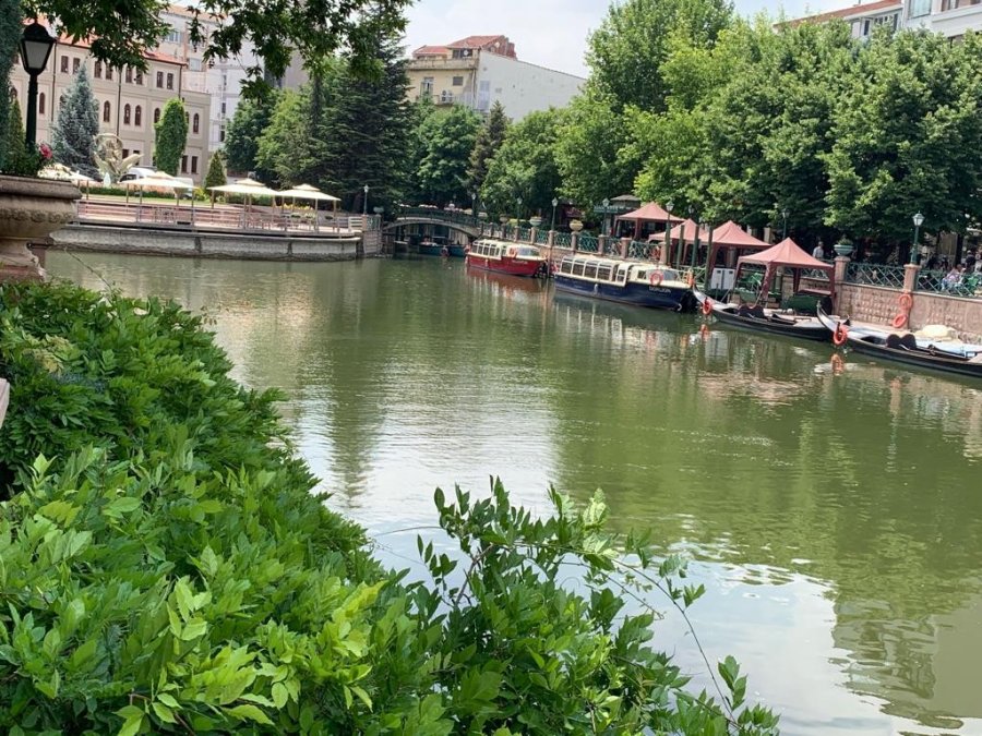 Porsuk Çayı Kenarları Yeşil Örtüyle Kaplandı