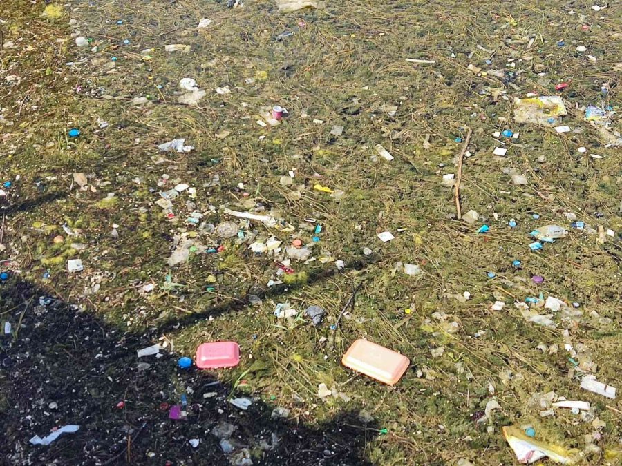 Porsuk Çayı’nda Biriken Ağaç Dalları Ve Çöpler Görenleri Hayrete Düşürüyor