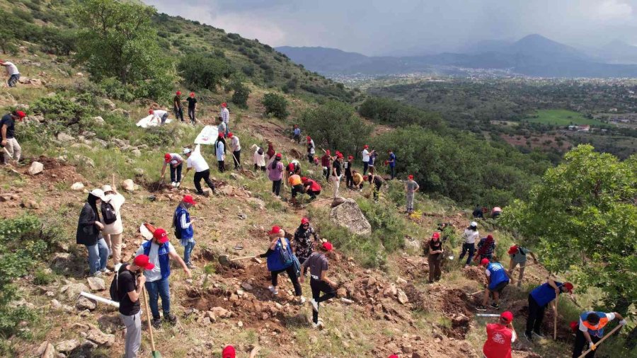 Çevre Günü’nde Ali Dağı’nda Özel Program
