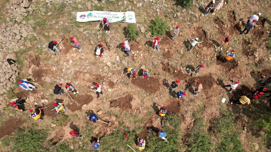 Çevre Günü’nde Ali Dağı’nda Özel Program