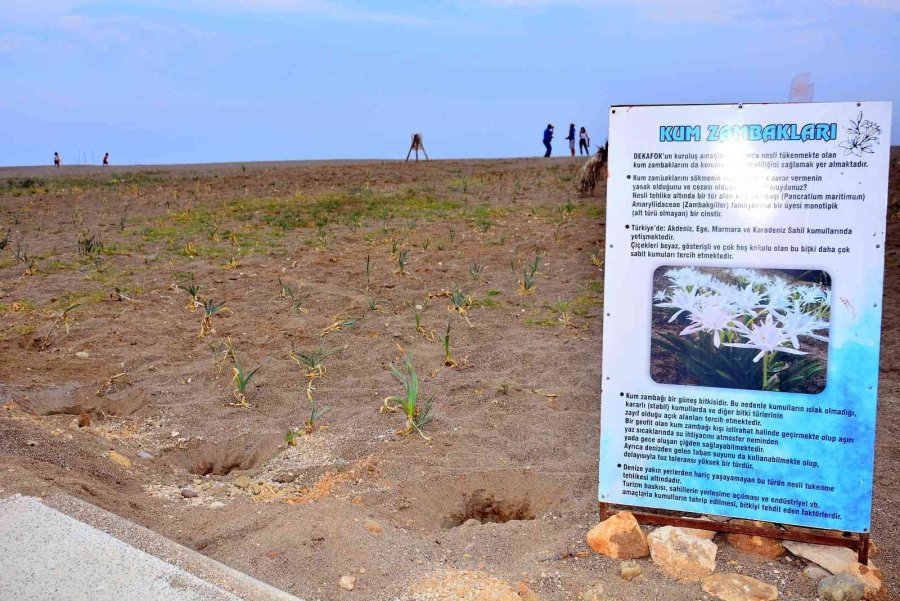 Sorgun Boğaz Halk Plajı Açıldı
