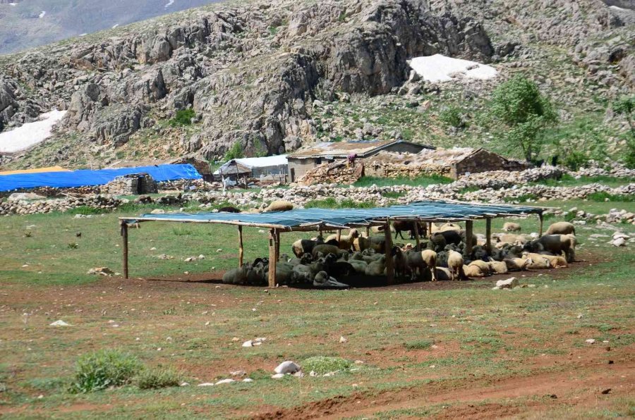 Antalya’da Yörüklerin Karla Kaplı Yayla Serüveni Başladı