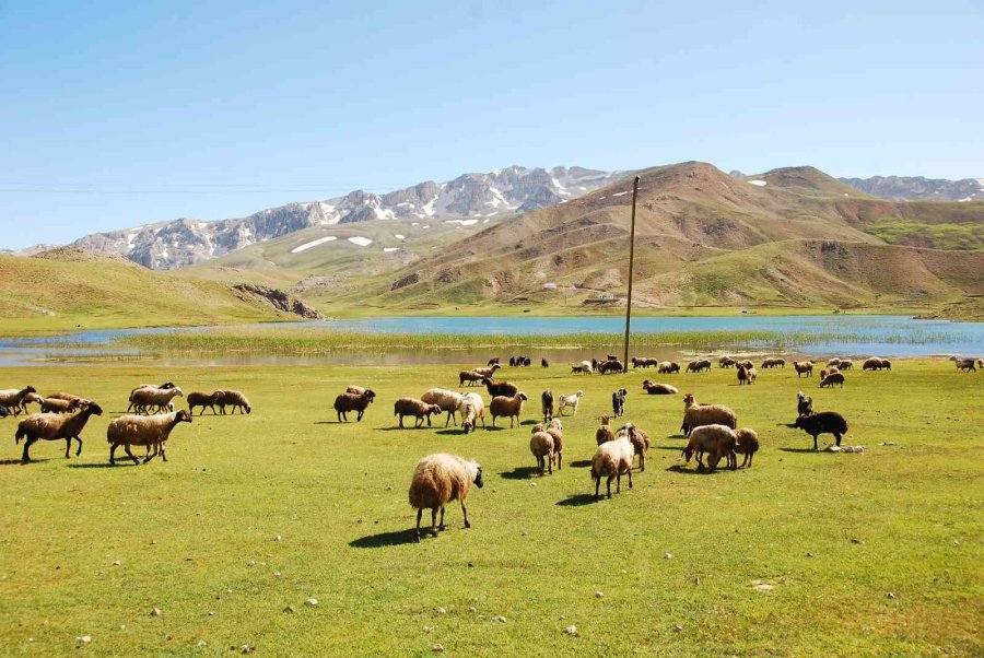 Antalya’da Yörüklerin Karla Kaplı Yayla Serüveni Başladı
