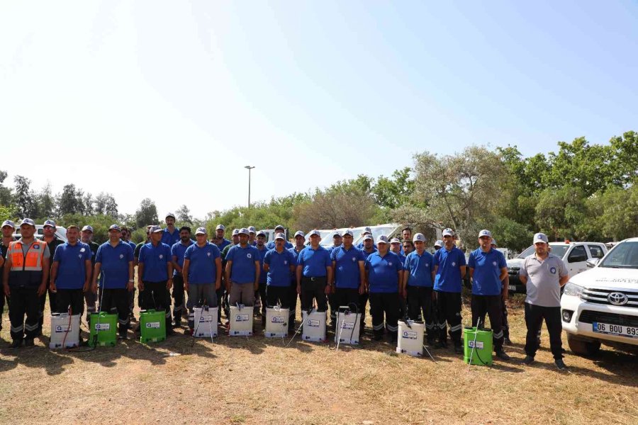 Sineksiz Yaz İçin Yoğun Mücadele