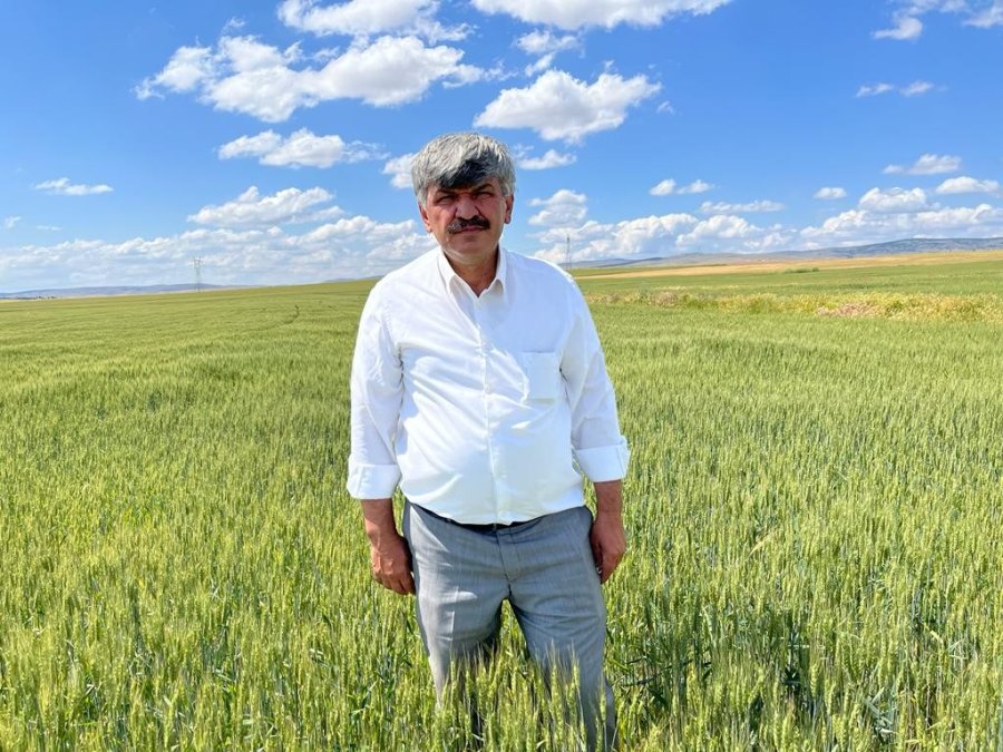 Açıklanan Hububat Fiyatları