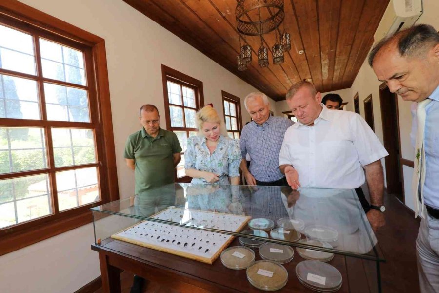 Rektör Özkan: "üniversitemiz Ve Batem, Araştırmalarıyla Antalya Tarımına Öncü Olmaya Devam Ediyor"