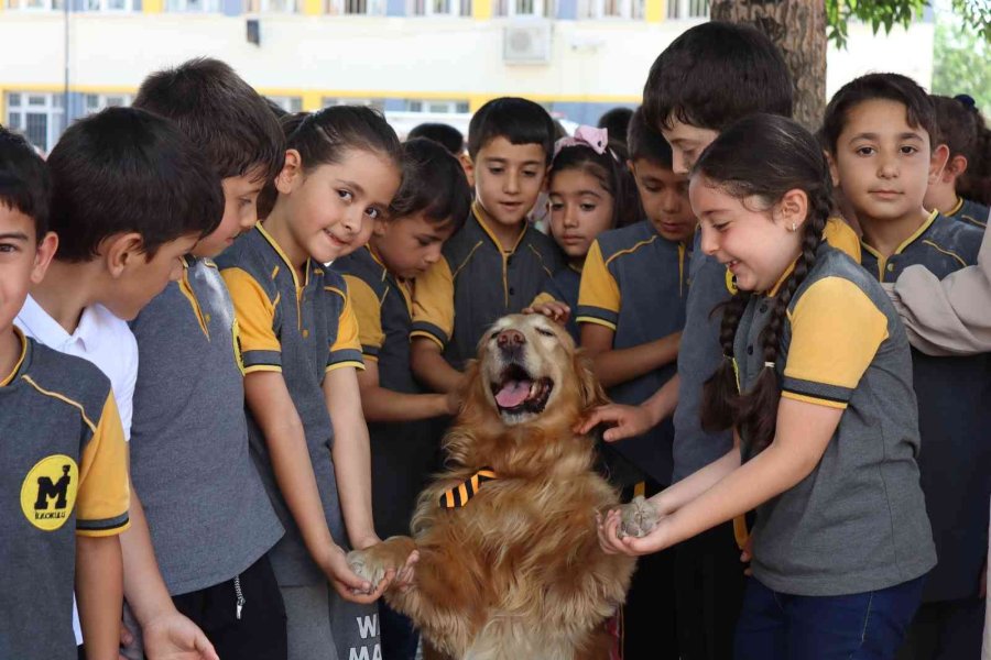 Afad’dan Miniklere ’afet’ Eğitimi
