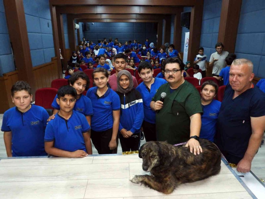 Öğrencilere Sokak Hayvanı Eğitimi