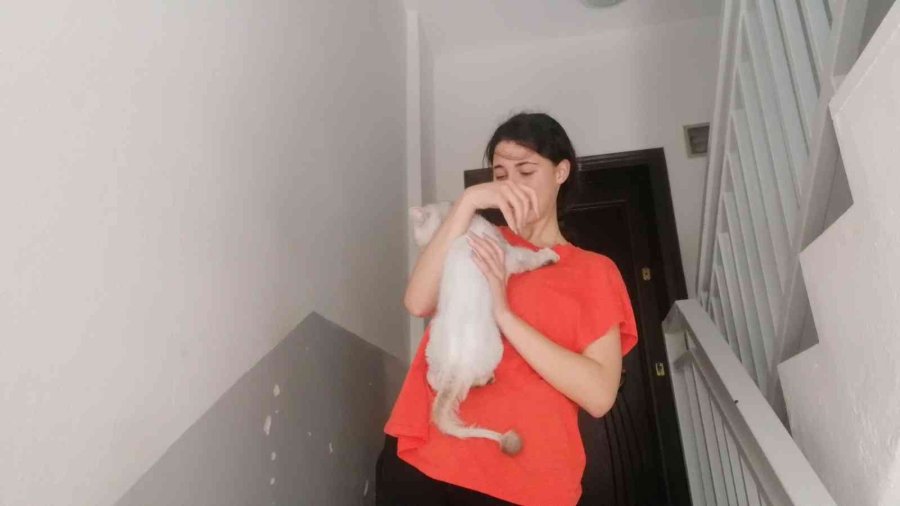 Lise Öğrencisi, Kedisi Duman’a Kavuşunca Sevinçten Ağladı