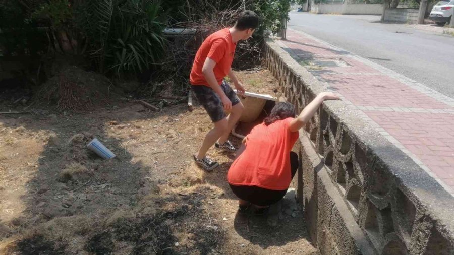 Lise Öğrencisi, Kedisi Duman’a Kavuşunca Sevinçten Ağladı