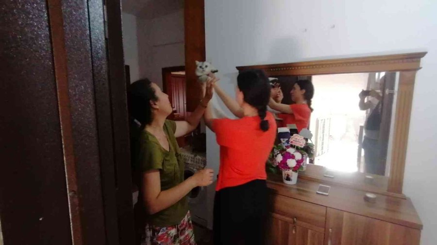 Lise Öğrencisi, Kedisi Duman’a Kavuşunca Sevinçten Ağladı