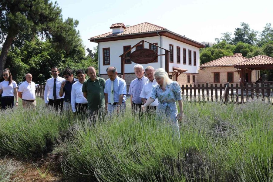 Rektör Özkan: "üniversitemiz Ve Batem, Araştırmalarıyla Antalya Tarımına Öncü Olmaya Devam Ediyor"