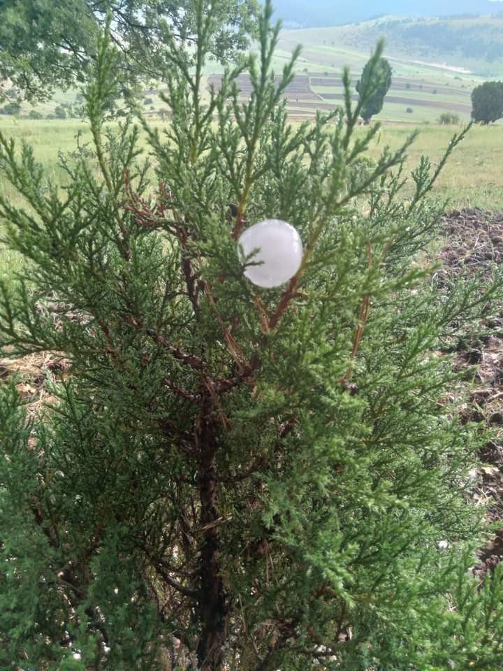 Eskişehir’de Ceviz Büyüklüğünde Dolu Yağdı