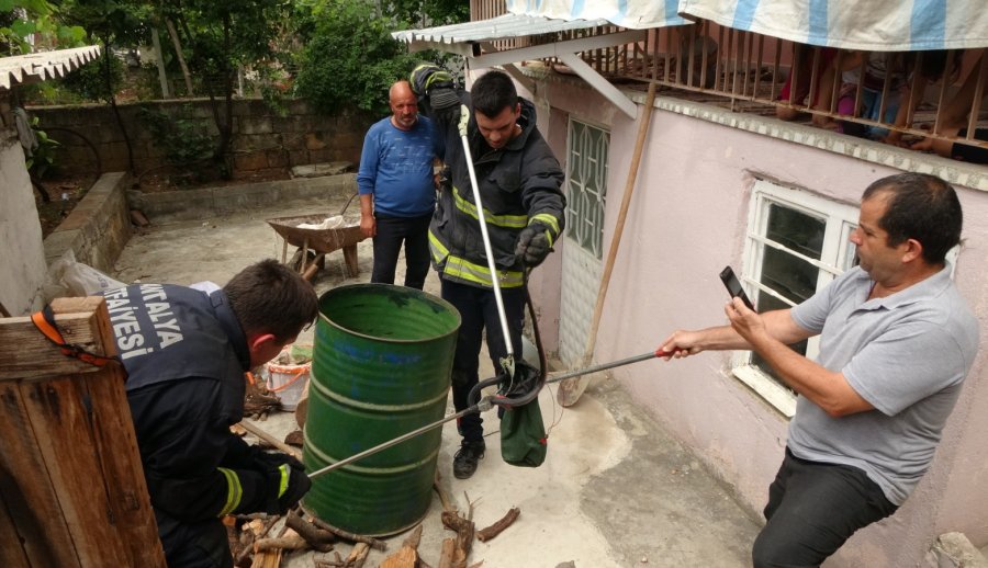 Odunlukta 2 Metrelik Yılan Operasyonu