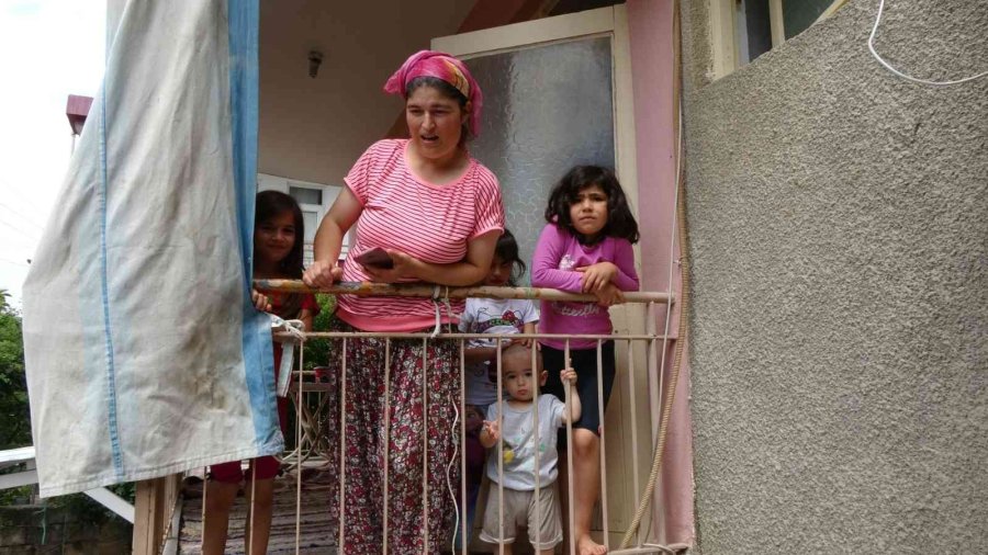 Odunlukta 2 Metrelik Yılan Operasyonu