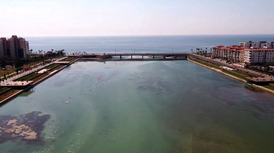 Boğaçayı’nın Yosunlanları Sağlık Ve Biyolojik Temizlik İşareti