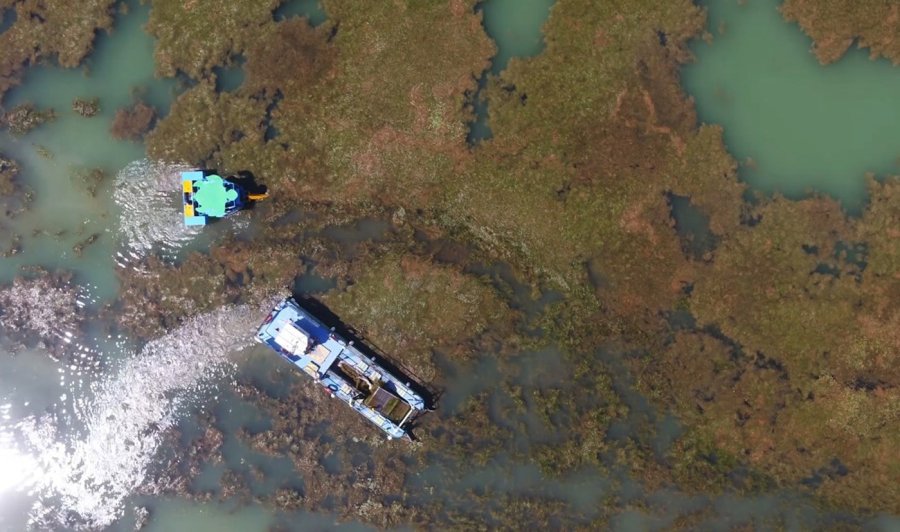 Boğaçayı’nın Yosunlanları Sağlık Ve Biyolojik Temizlik İşareti