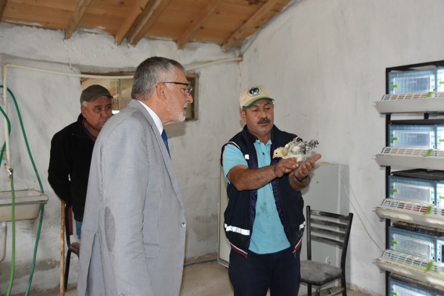 Bölgenin Tek Keklik Üretim Çiftliği Büyümeye Devam Ediyor