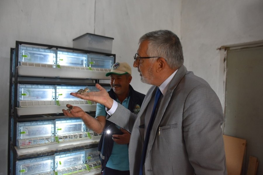 Bölgenin Tek Keklik Üretim Çiftliği Büyümeye Devam Ediyor