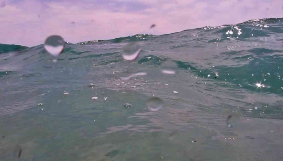 Deniz Canlılarının En Büyük Düşmanı ’mikroplastikler’