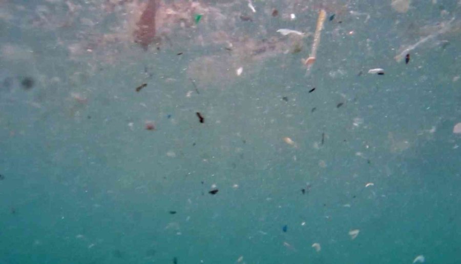 Deniz Canlılarının En Büyük Düşmanı ’mikroplastikler’