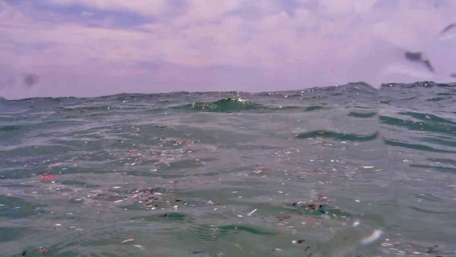 Deniz Canlılarının En Büyük Düşmanı ’mikroplastikler’