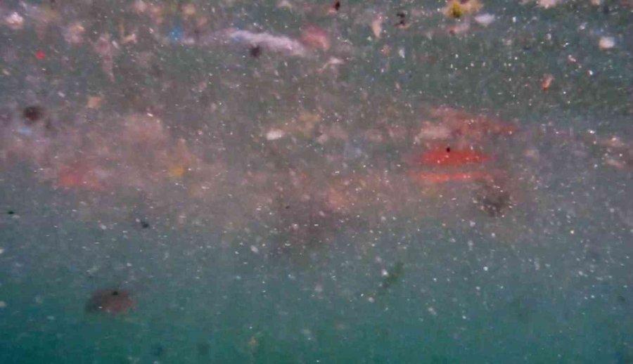 Deniz Canlılarının En Büyük Düşmanı ’mikroplastikler’