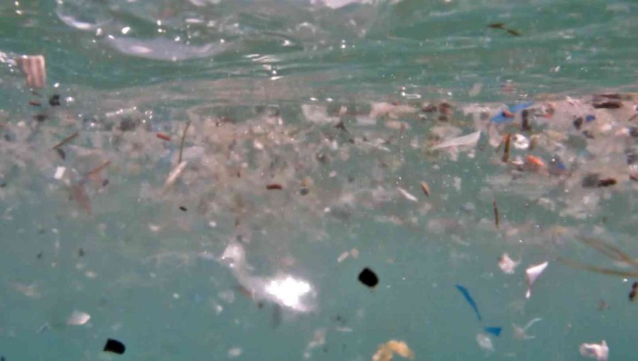 Deniz Canlılarının En Büyük Düşmanı ’mikroplastikler’