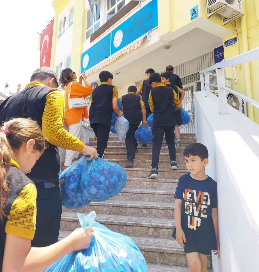 Tekvandocu Ev Hanımlarından Örnek Hareket