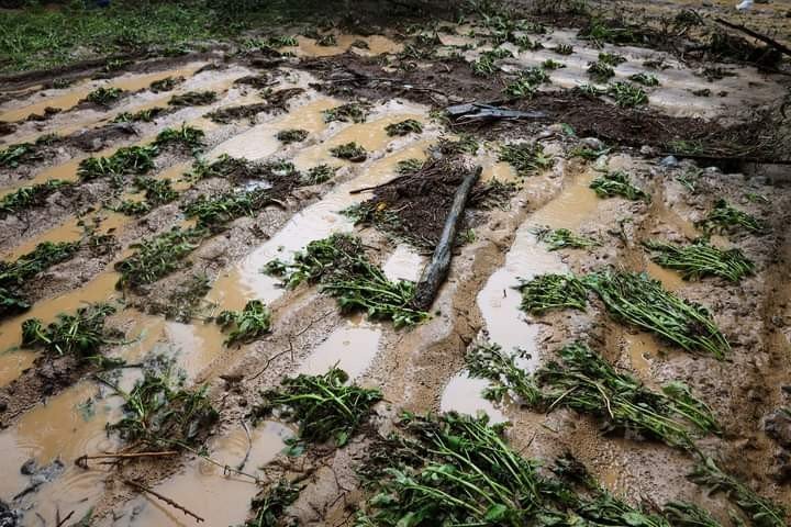 Kayseri’ye Rekor Yağış