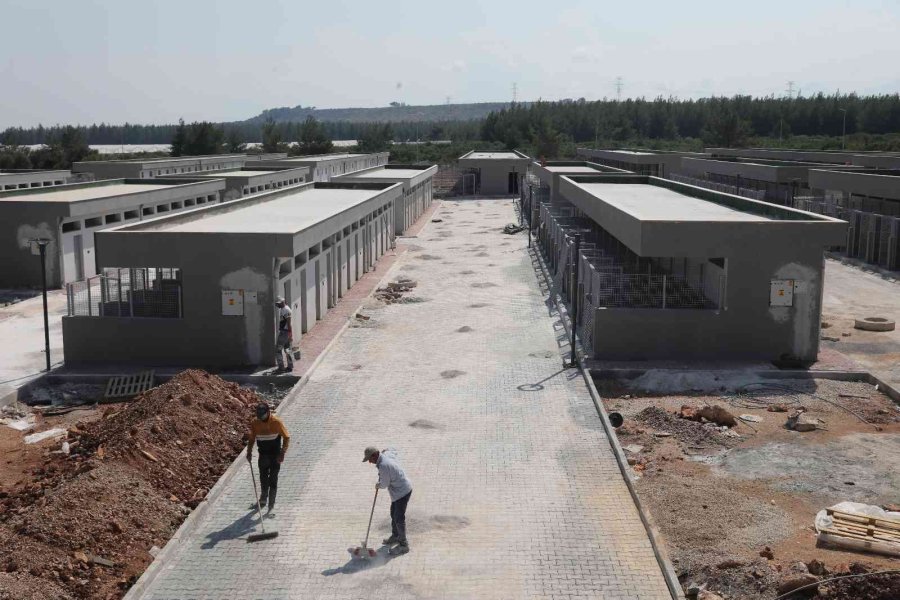 Sokak Hayvanları Geçici Bakım Evi Ve Rehabilitasyon Merkezi İnşaatı Tamamlandı