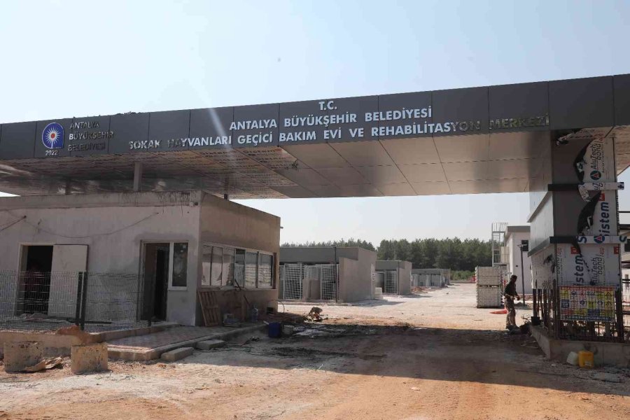 Sokak Hayvanları Geçici Bakım Evi Ve Rehabilitasyon Merkezi İnşaatı Tamamlandı