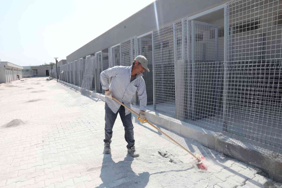 Sokak Hayvanları Geçici Bakım Evi Ve Rehabilitasyon Merkezi İnşaatı Tamamlandı