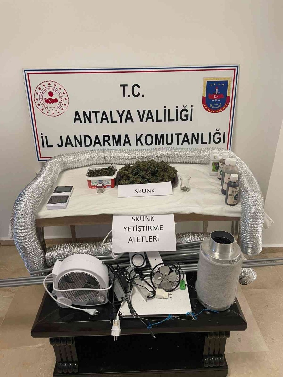 Evinin Tuvaletinde Uyuşturucu Yetiştiren Şüpheli Suçüstü Yakalandı