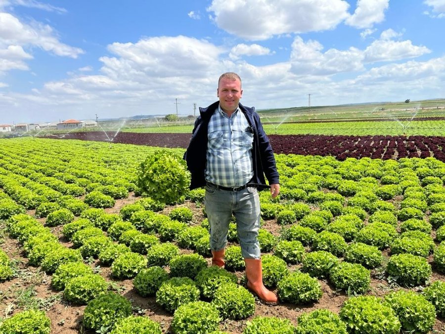 Tarladan 1,5 Liraya Çıkan Marul Marketti 7-8 Lira