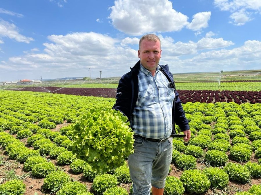 Tarladan 1,5 Liraya Çıkan Marul Marketti 7-8 Lira