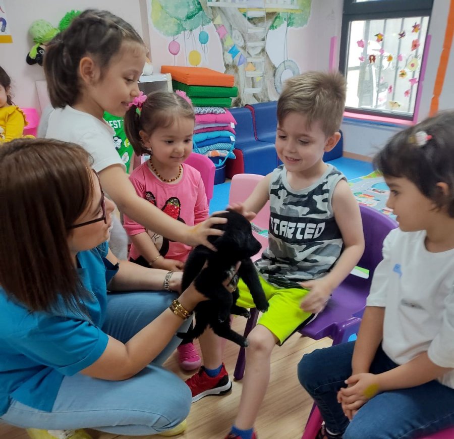 Hayvan Sevgisi İle Büyüyorlar