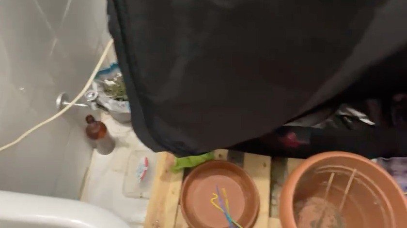 Evinin Tuvaletinde Uyuşturucu Yetiştiren Şüpheli Suçüstü Yakalandı